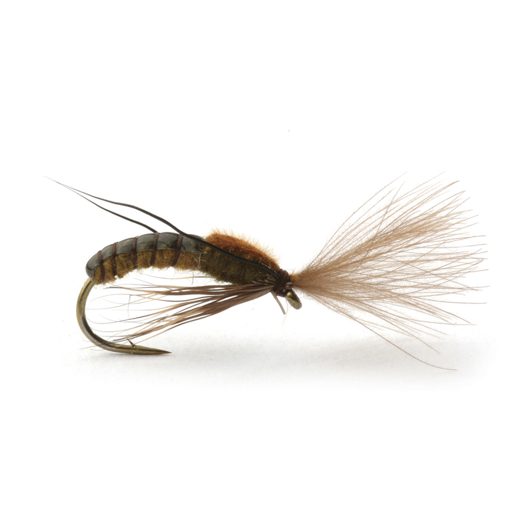 super emerging caddis brown olive - Fiskefluer - Flue.no