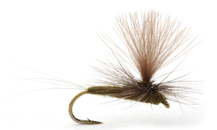 baetis dark brown olive - Fiskefluer - Flue.no