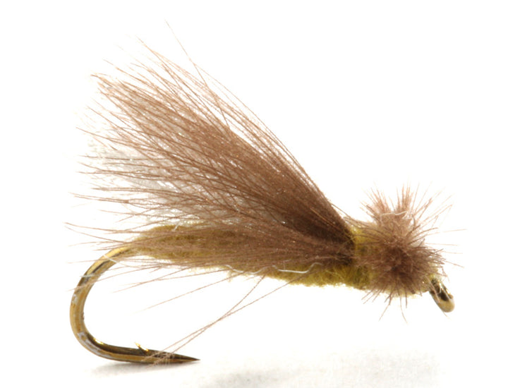 cdc caddis adult olive - Fiskefluer - Flue.no