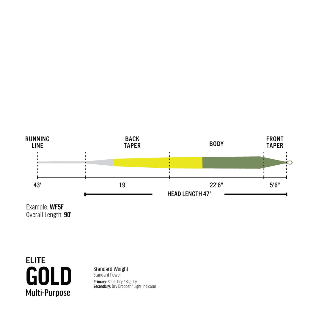 Elite Gold Fluesnøre | RIO