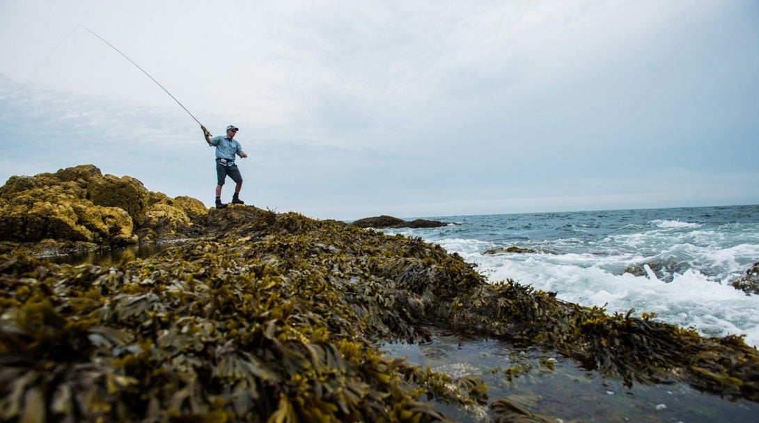 Coastal Coldwater Outfit Field Kit Fluestag Combo | Redington