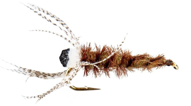 Pool 12 | Evil Eye 4 Pack