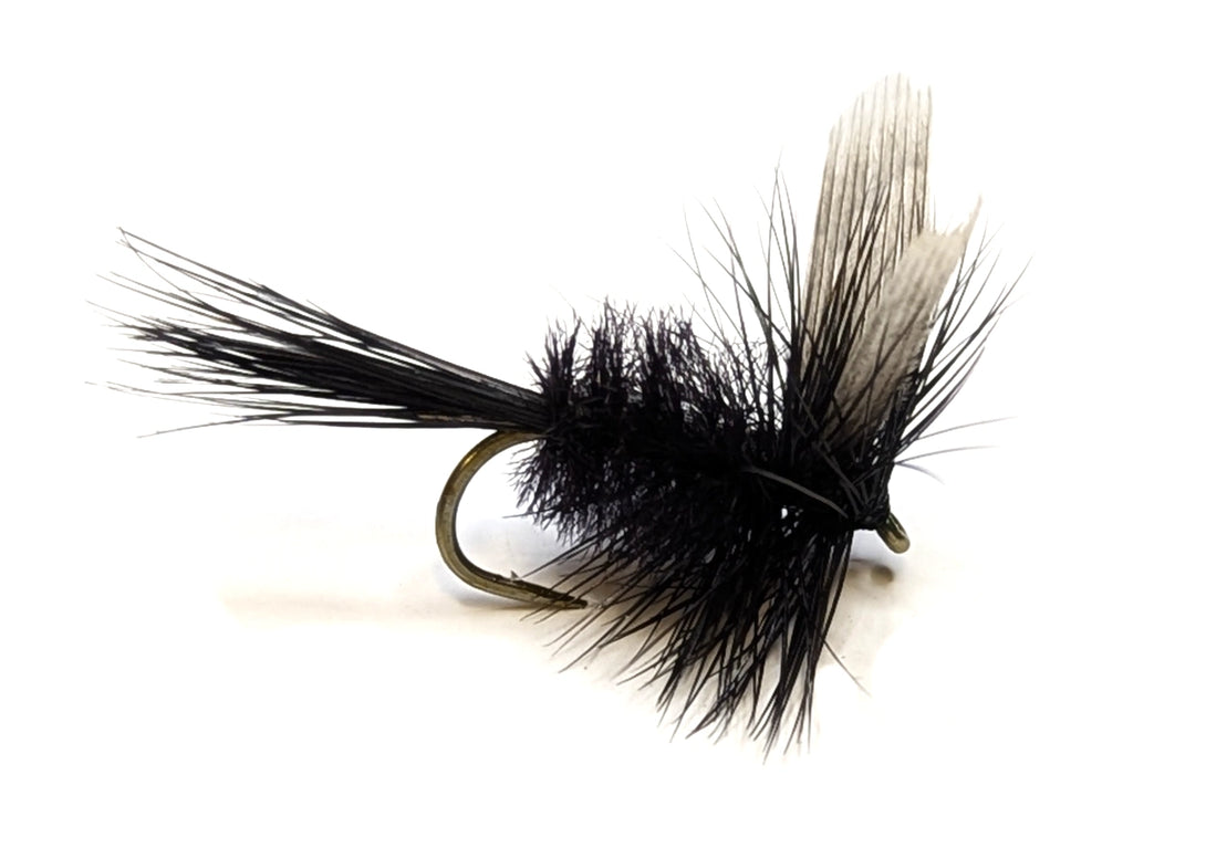 Black Gnat Fluffy - Flue.no - Fiskefluer