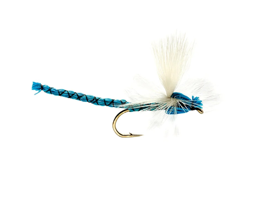 Blue Damsel - Flue.no - Fiskefluer