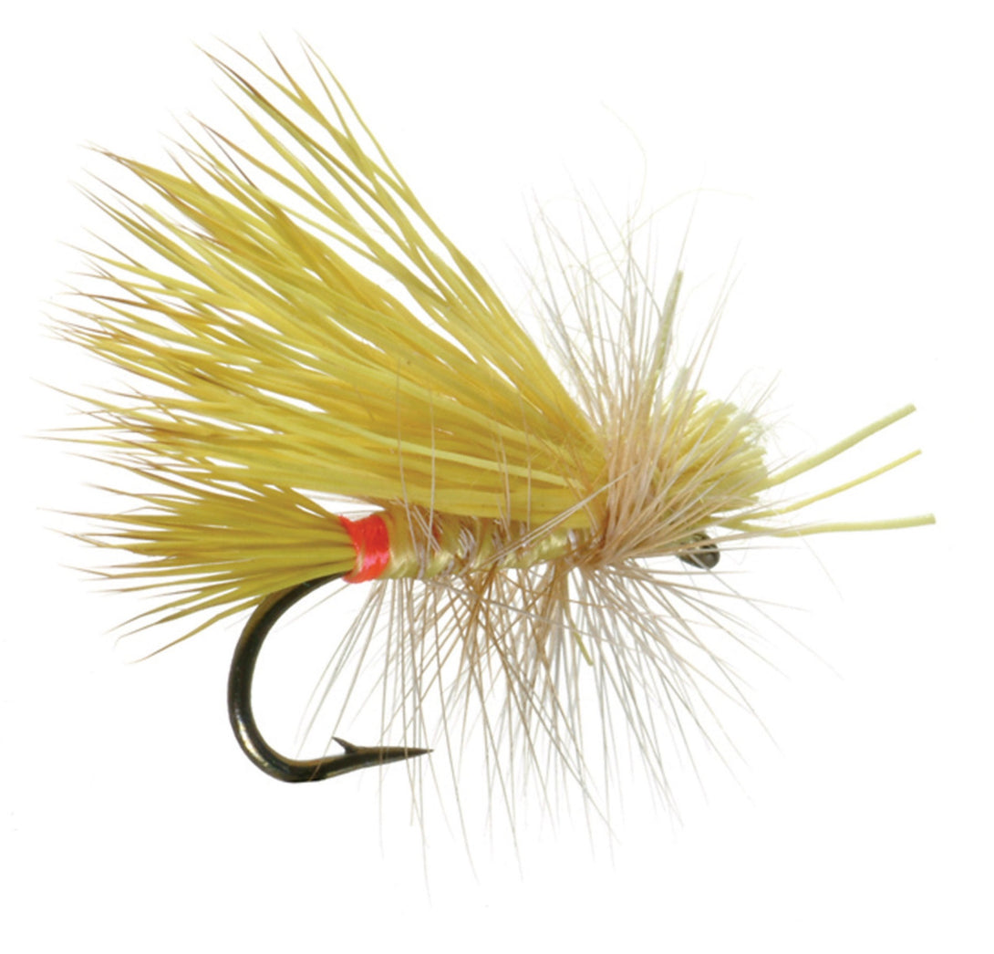 LITTLE YELLOW STONE CADDIS SALLY - Flue.no - Fiskefluer
