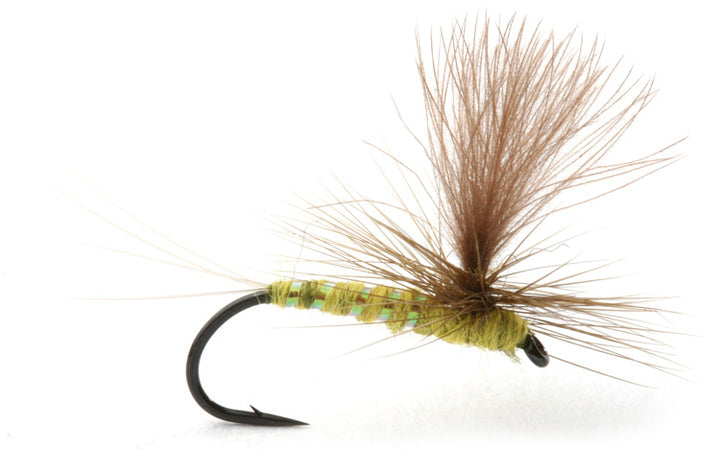 Olive Flash - Flue.no - Fiskefluer