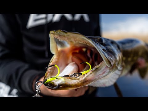 ASSIST SPEAR STINGER HD PIKE Stinger Krok for Jig og Agnfisk | BKK