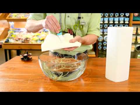 Orvis Clearwater Intermediate Fluesnøre | Saktesynk