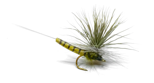 Vania | Elk Wing May Fly Olive - Flue.no - Fiskefluer
