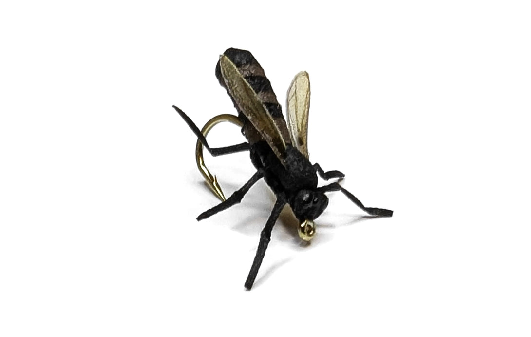 Vania | Honey Bee - Flue.no - Fiskefluer