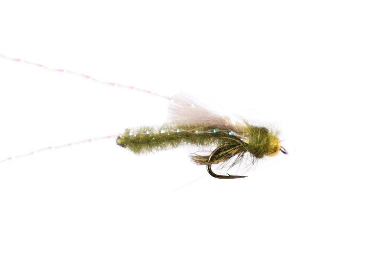 boname caddis olive larveflue - Fiskefluer - Flue.no