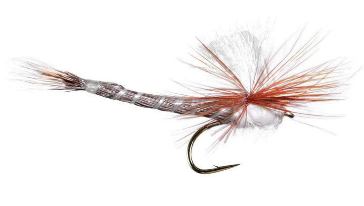Borges Danica Dun Extended - Flue.no - Fiskefluer