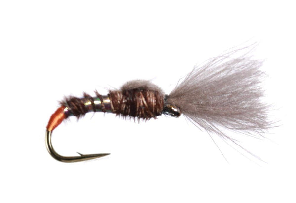 cdc emerger pheasant tail orange butt - Fiskefluer - Flue.no