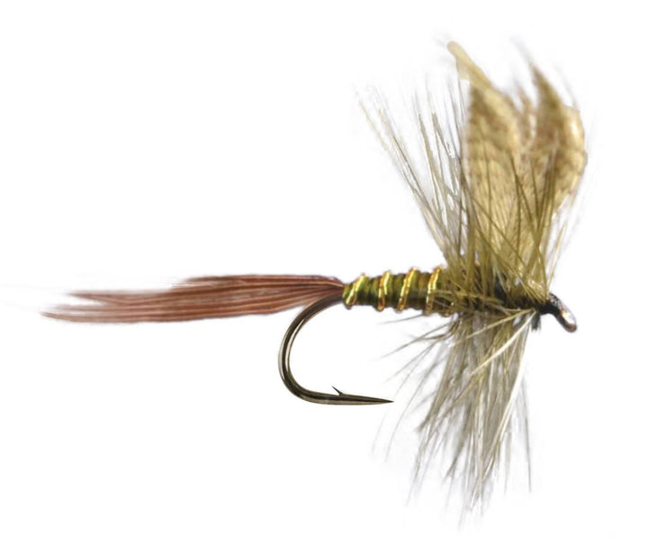 mayfly olive drake - Fiskefluer - Flue.no