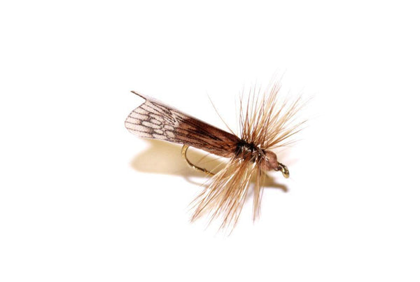 vania brown caddis - Fiskefluer - Flue.no