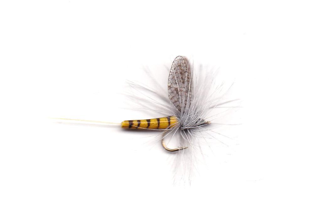 Vania | Bwo - Flue.no - Fiskefluer