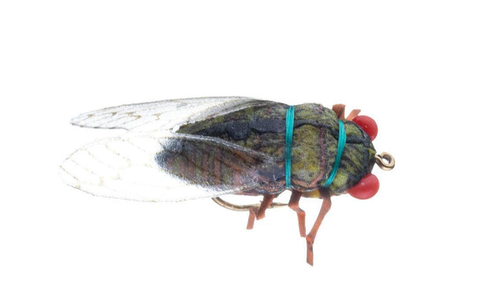 vania cicada olive - Fiskefluer - Flue.no