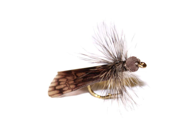 vania dark caddis - Fiskefluer - Flue.no