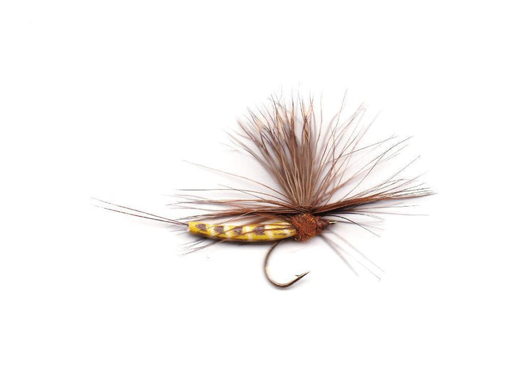 Vania | Elk Wing Danica - Flue.no - Fiskefluer
