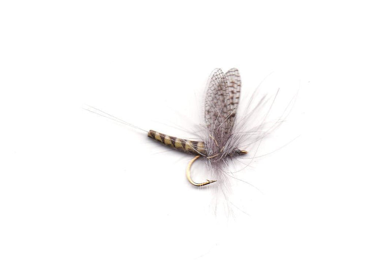 Vania | Grey Drake - Flue.no - Fiskefluer
