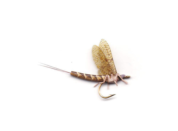 Vania | True May Fly Vulgata - Flue.no - Fiskefluer